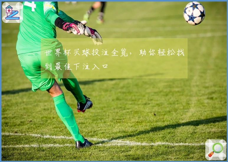 世界杯买球投注全览，助你轻松找到最佳下注入口