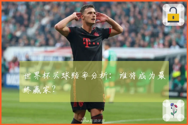 世界杯买球赔率分析：谁将成为最终赢家？
