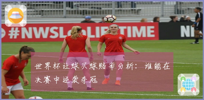 世界杯让球买球赔率分析：谁能在决赛中逆袭夺冠