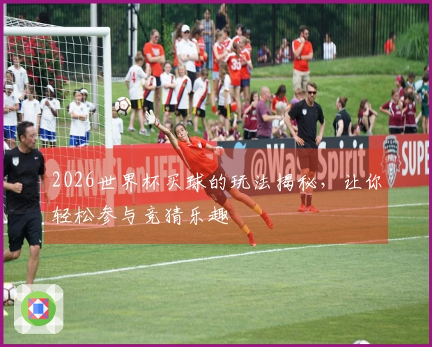 2026世界杯买球的玩法揭秘，让你轻松参与竞猜乐趣