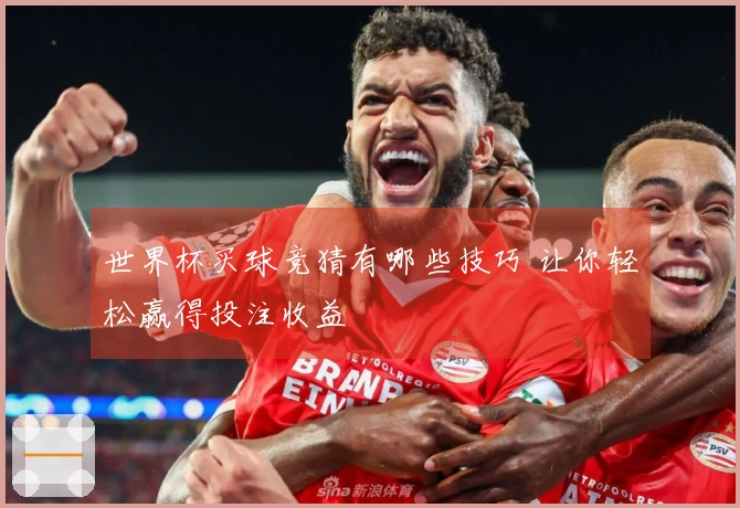世界杯买球竞猜有哪些技巧 让你轻松赢得投注收益
