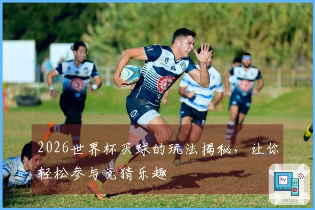 2026世界杯买球的玩法揭秘，让你轻松参与竞猜乐趣