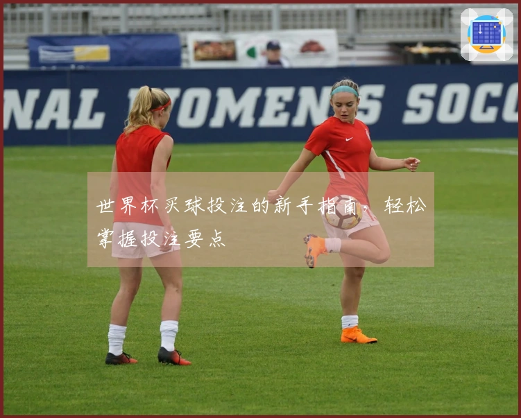 世界杯买球投注的新手指南，轻松掌握投注要点