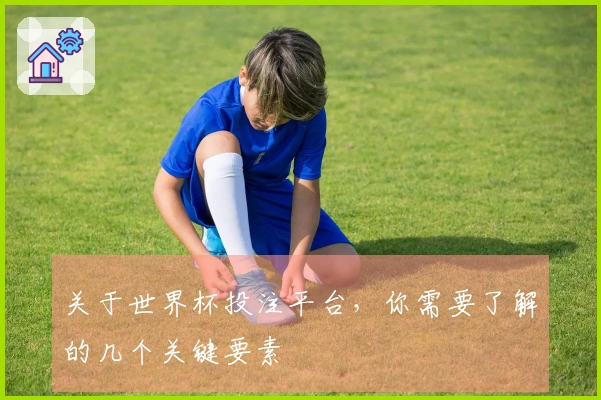 关于世界杯投注平台，你需要了解的几个关键要素