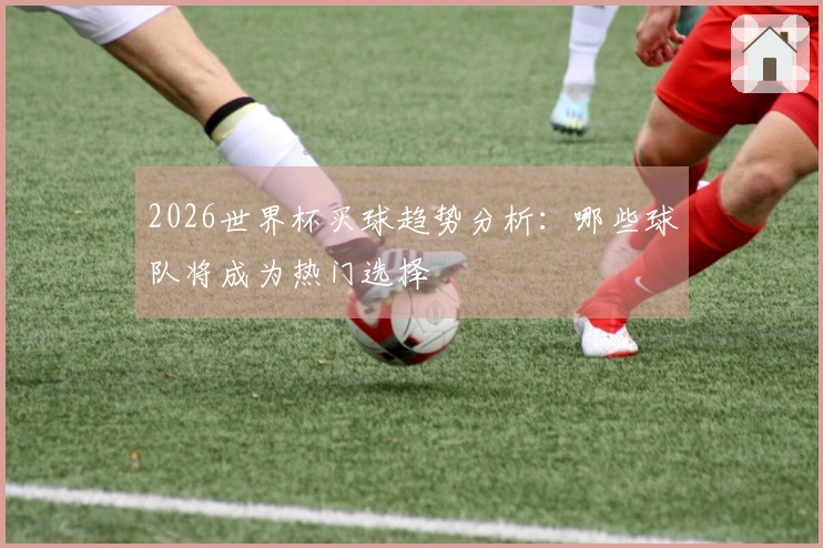 2026世界杯买球趋势分析：哪些球队将成为热门选择