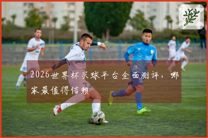 2026世界杯买球平台全面测评，哪家最值得信赖