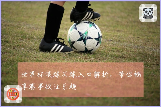世界杯滚球买球入口解析，带你畅享赛事投注乐趣