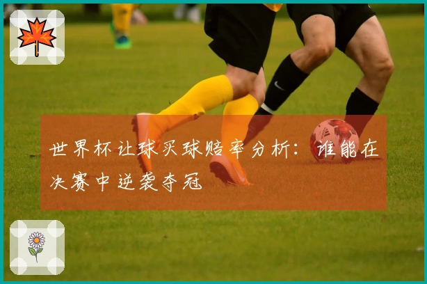世界杯让球买球赔率分析：谁能在决赛中逆袭夺冠