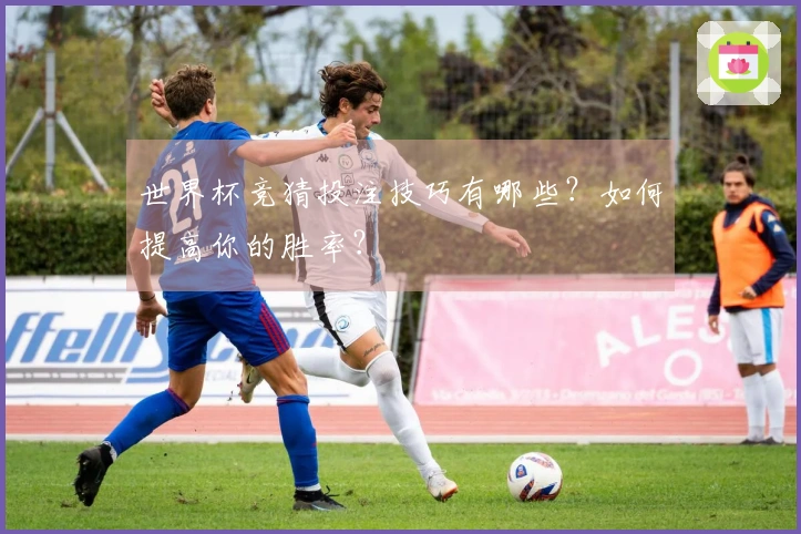 世界杯竞猜投注技巧有哪些？如何提高你的胜率？
